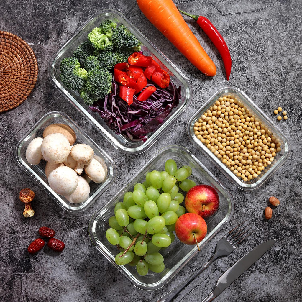 Vinsani Glass Food Storage 10-Pack Containers – Meal Prep Lunch Boxes