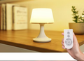 Table Lamp with Remote