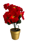 LED Poinsettia In A Pot