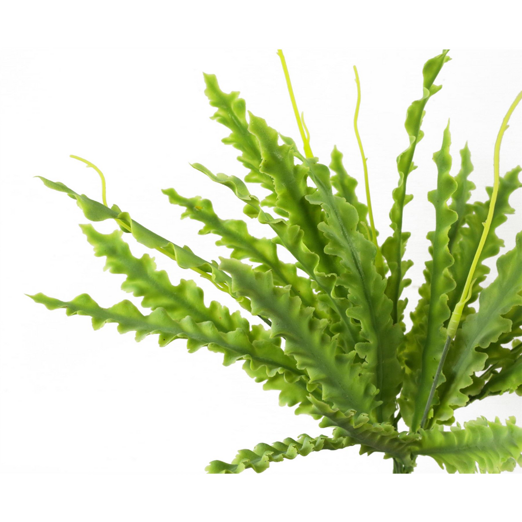 40cm Artificial Crocodile Fern Plant