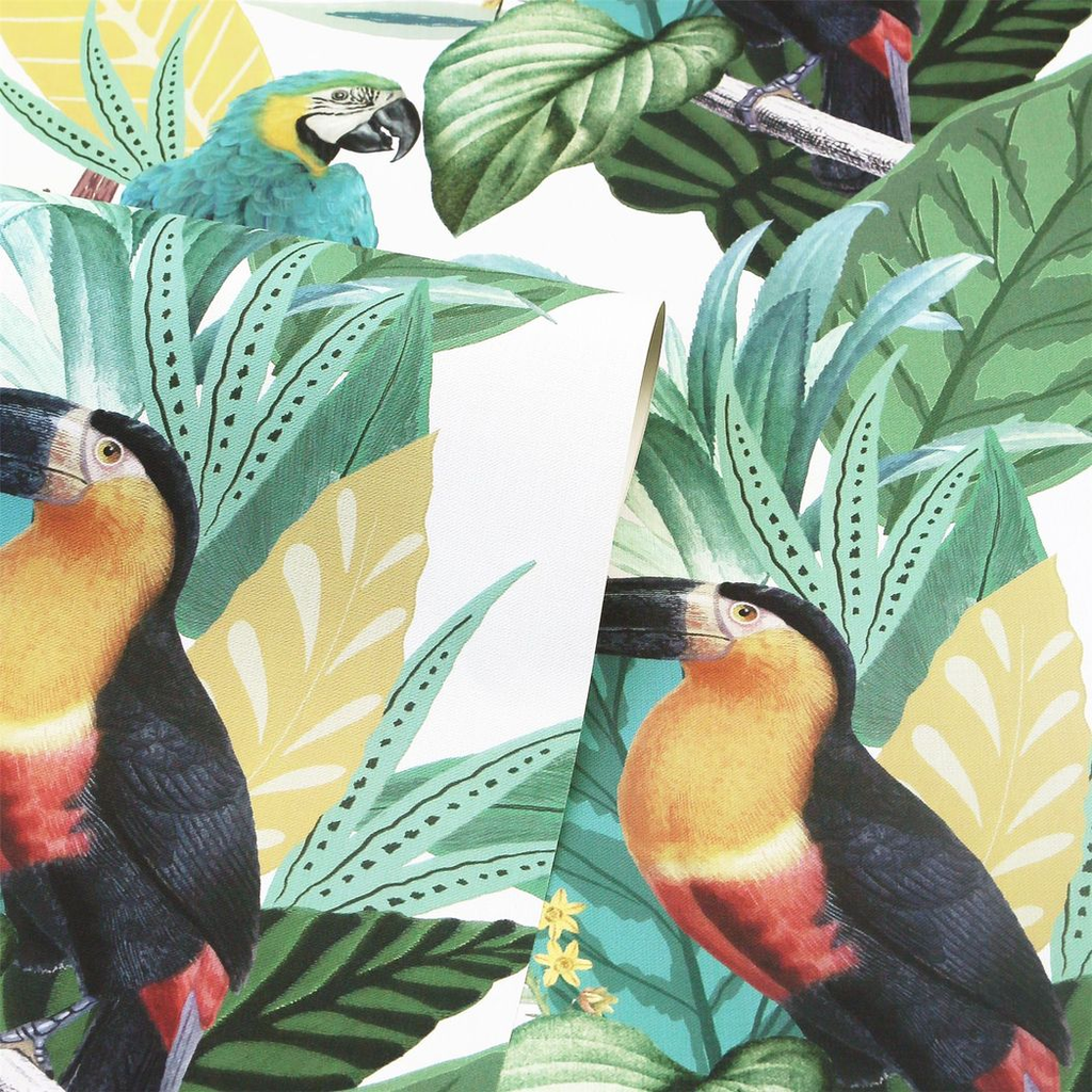 Toucan Jungle Multi sw12