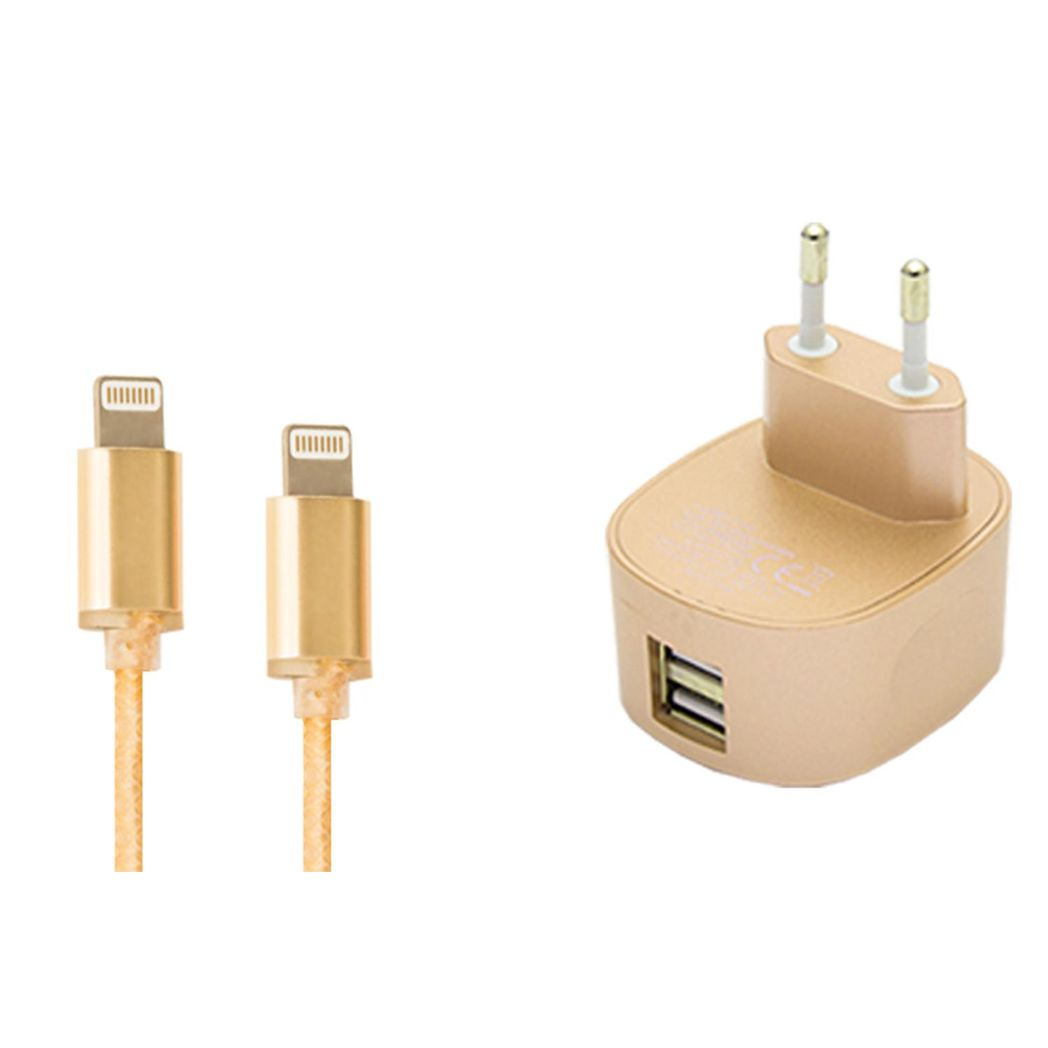 FX Multicoloured Dual USB Mains Charger 2.4 AMP Plug (EU), Gold