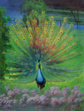 Peacock Jigsaw Puzzle