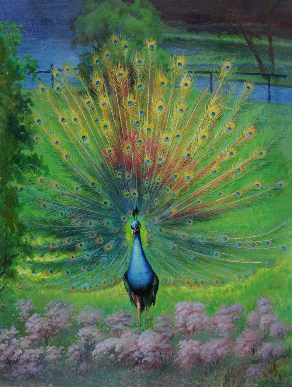 Peacock Jigsaw Puzzle