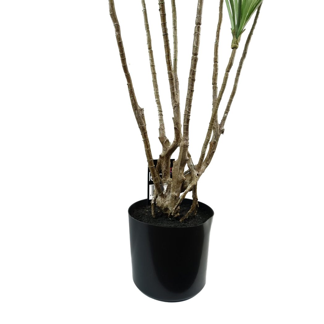 125cm Dragon Tree Dracaena Plant Natural Look Artificial