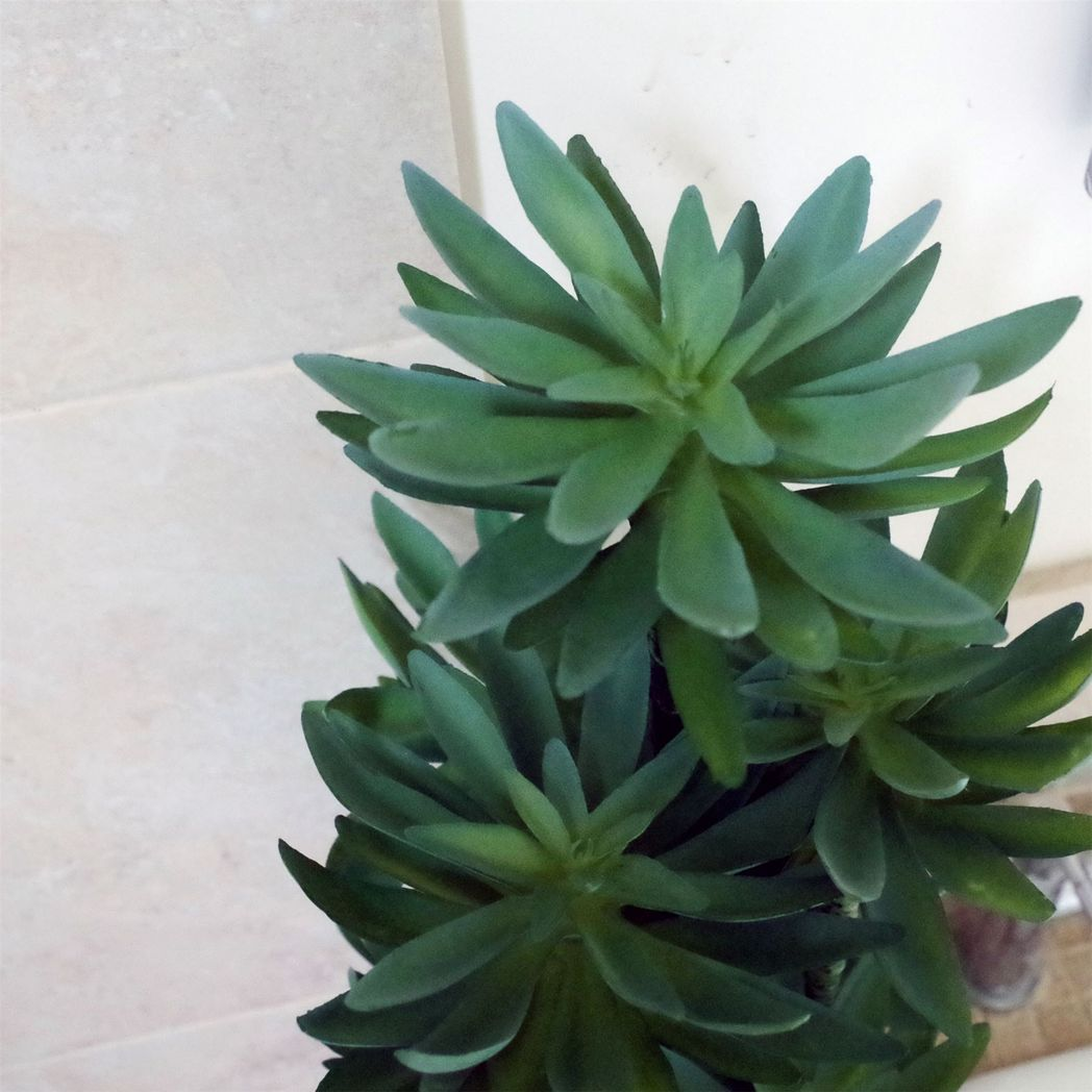 60cm Artificial Tropical Yukka Palm Potted in Planter