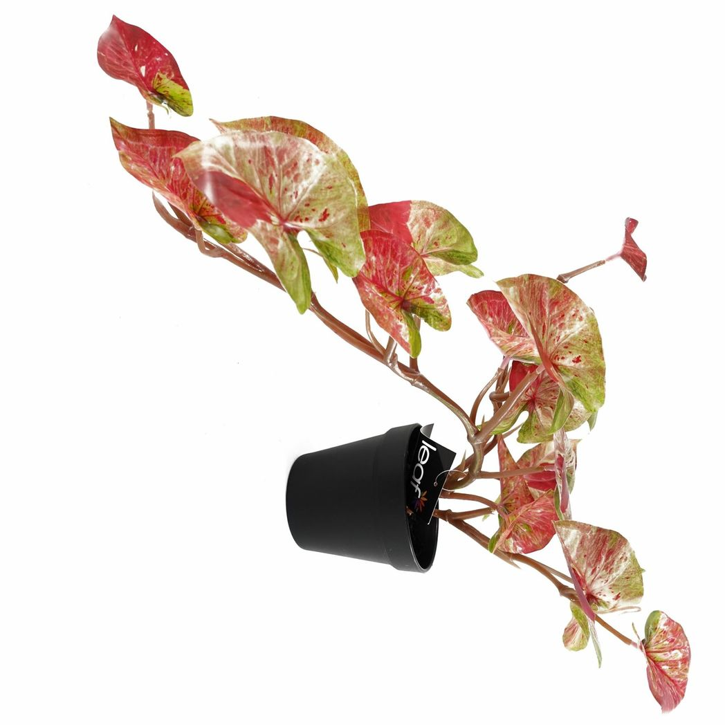 35cm Artificial Trailing Hanging Plant Realistic Pink Splash Caladium