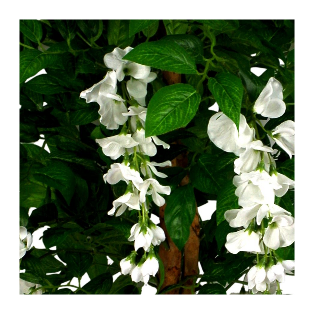130cm Luxury Artificial Wisteria Tree White Flowers Premium Range
