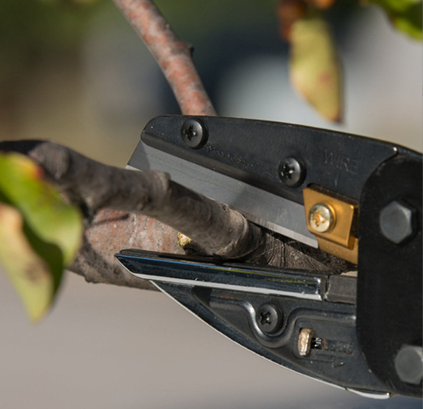 Powerful Multi-Cutter Tool