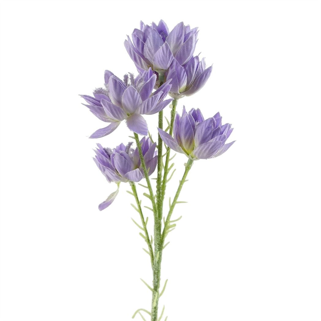 Pack of 6 x 60cm Purple Starflower Stem - 30 Flowers