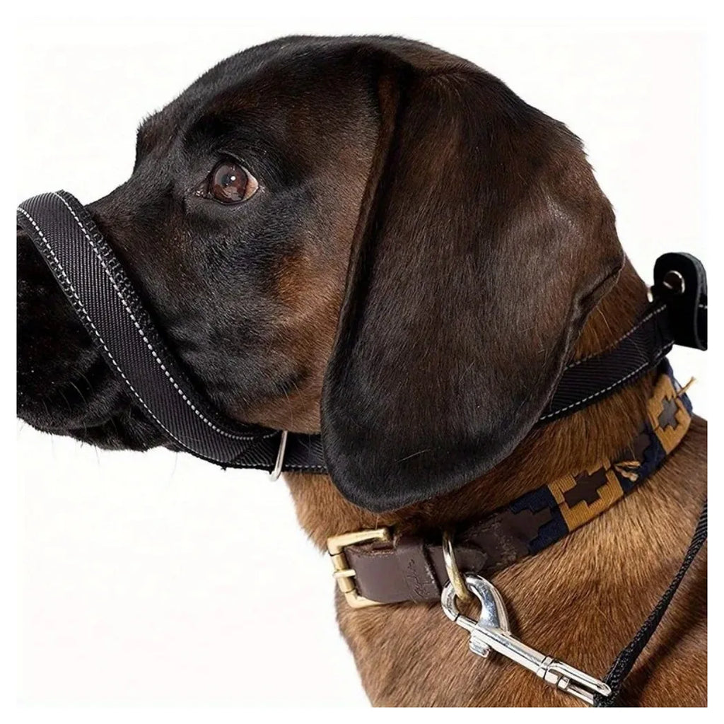 Figure of 8 Dog Lead Dog Lead with Soft Comfy Padded Loop Handle and Nose Pads