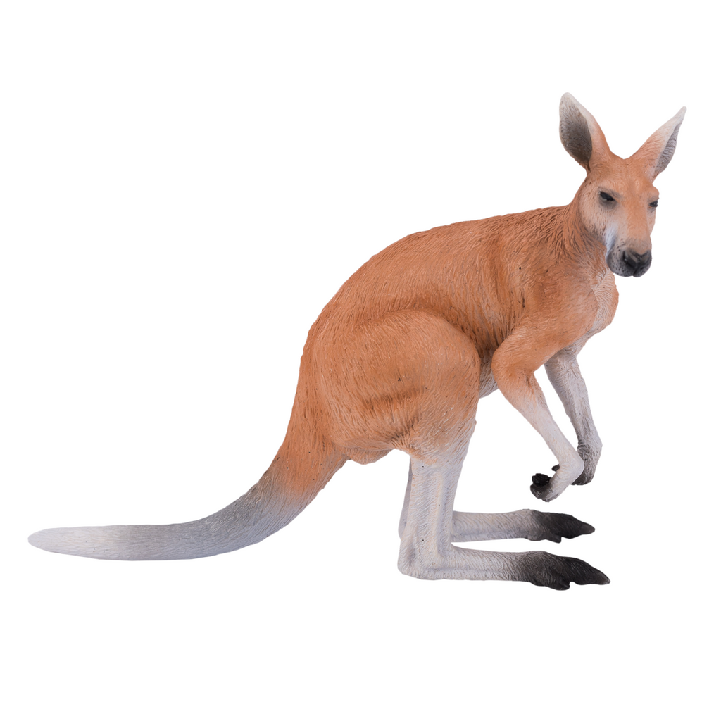Kangaroo Toy  Realistic Australian Wildlife Model