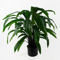 60cm Artificial Calathea Plant