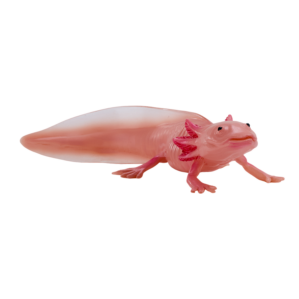 Axolotl Toy  Realistic Amphibian Figurine