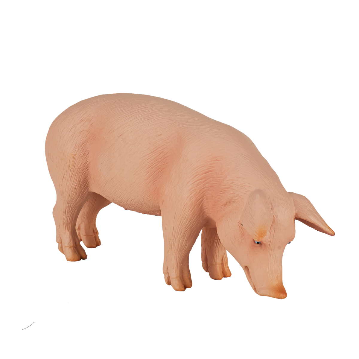 Wild Boar Pig Toy  Realistic Farm & Forest Animal Figure