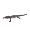 Perentie Lizard Toy  Realistic Reptile Figurine
