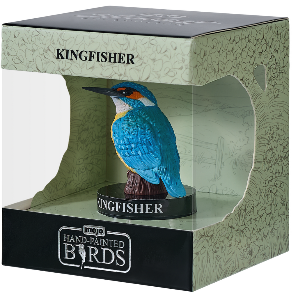 Common Kingfisher