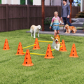 Dog Agility Equipment Set of Eight Cones
