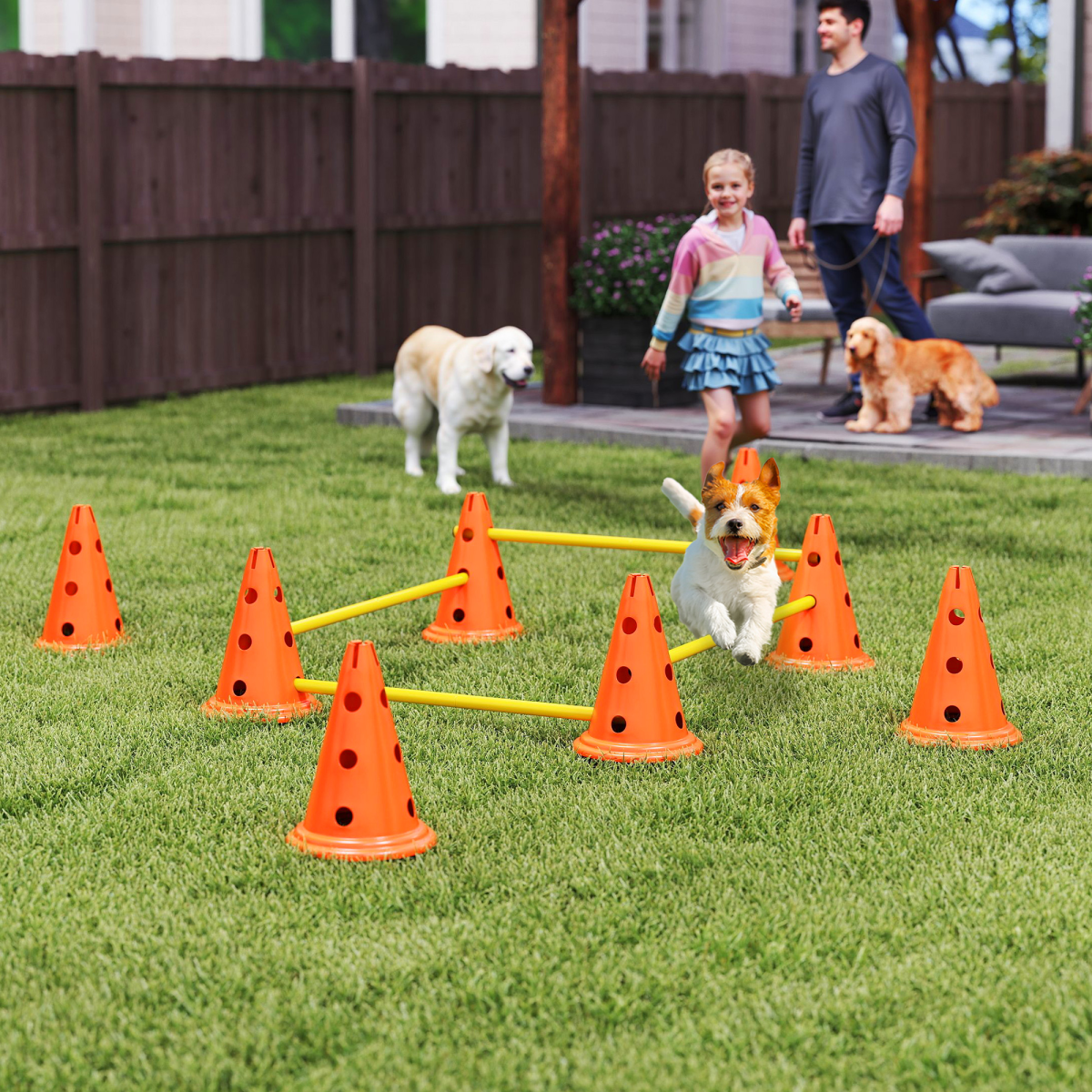 Dog Agility Equipment Set of Eight Cones