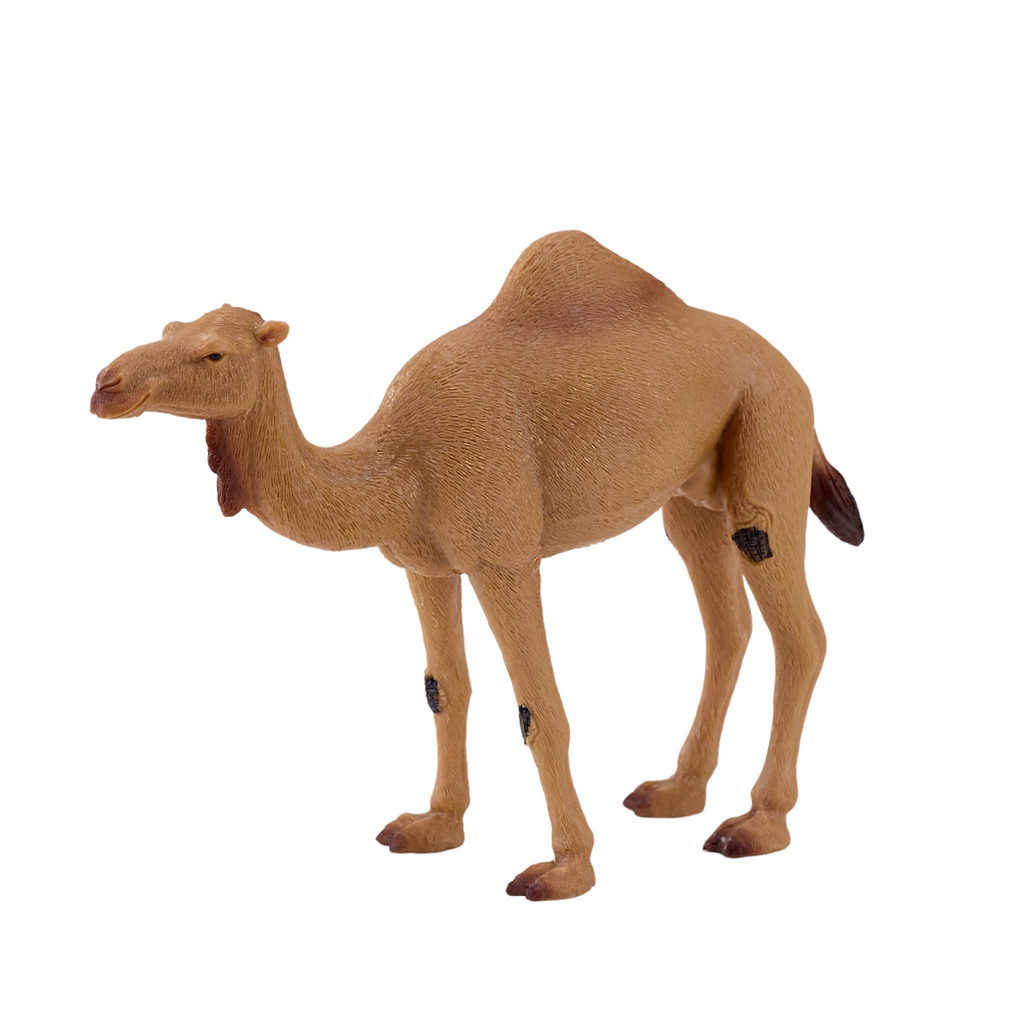 Arabian Camel Toy  Realistic Desert Animal Model