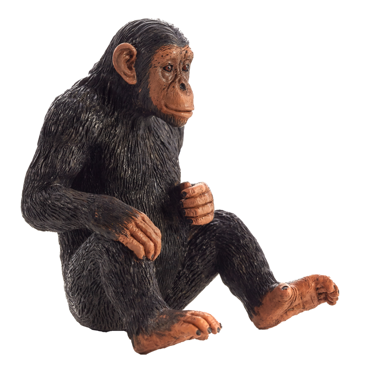 Chimpanzee Toy  Realistic Wildlife Animal Model