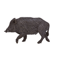 Wild Boar Male Toy  Realistic Woodland Animal Model