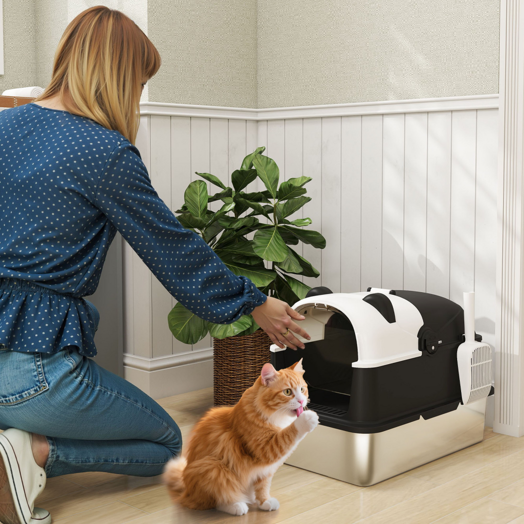 Cat Litter Box