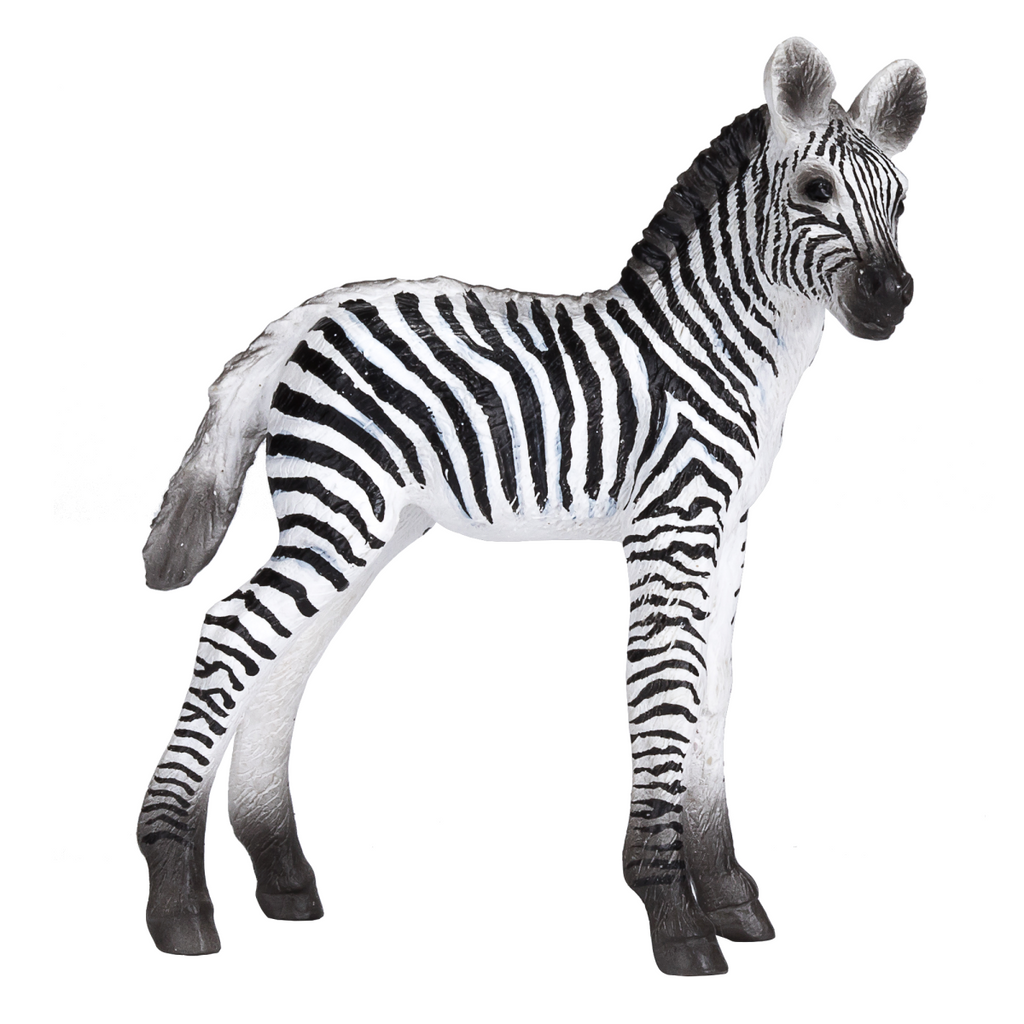 Zebra Foal Toy  Realistic African Wildlife Model