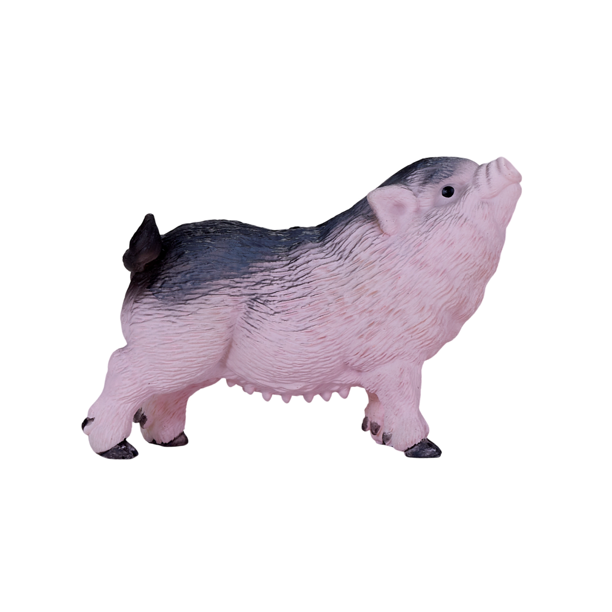 Pot-Bellied Piglet Toy  Realistic Farm Animal Model