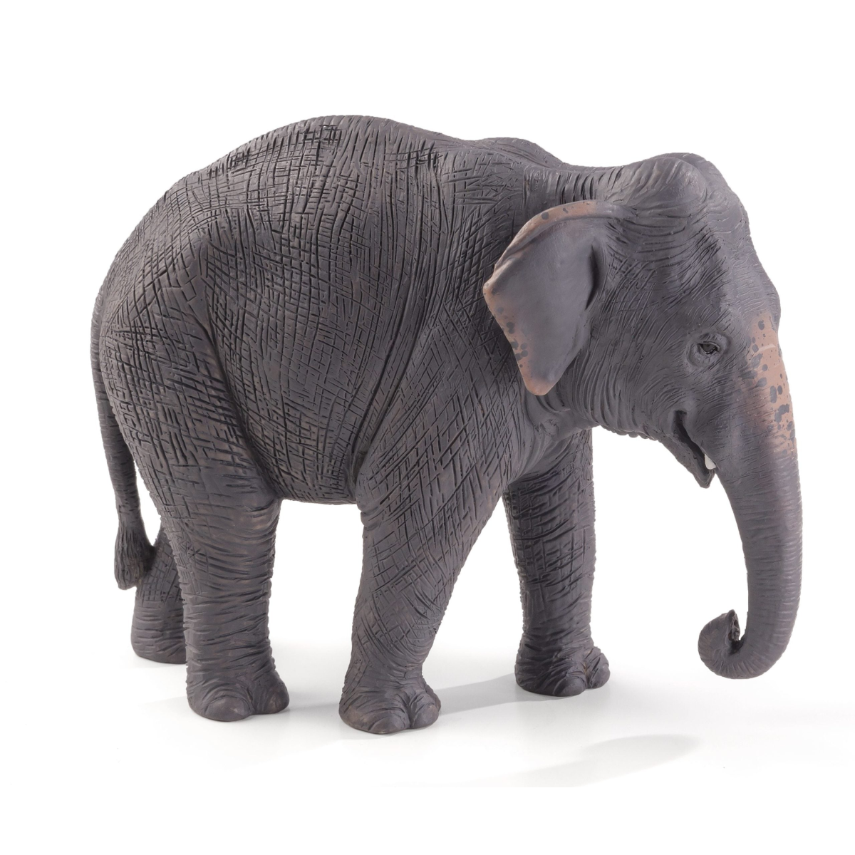 Asian Elephant Toy Figure  Realistic Wildlife Model