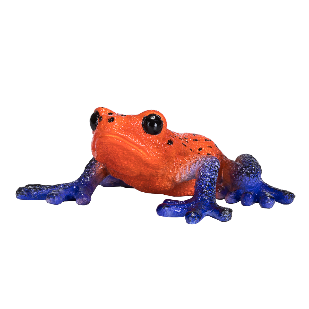 Poison Dart Tree Frog Toy  Realistic Rainforest Amphibian Figure
