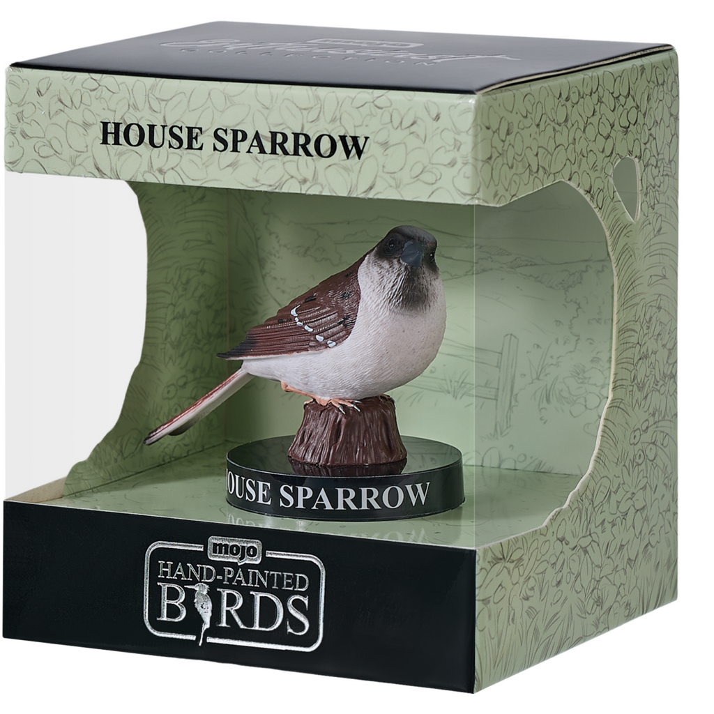 House Sparrow
