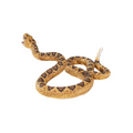 Rattlesnake Toy  Realistic Reptile Model