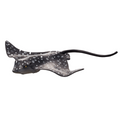Spotted Eagle Ray Toy  Realistic Marine Animal Model