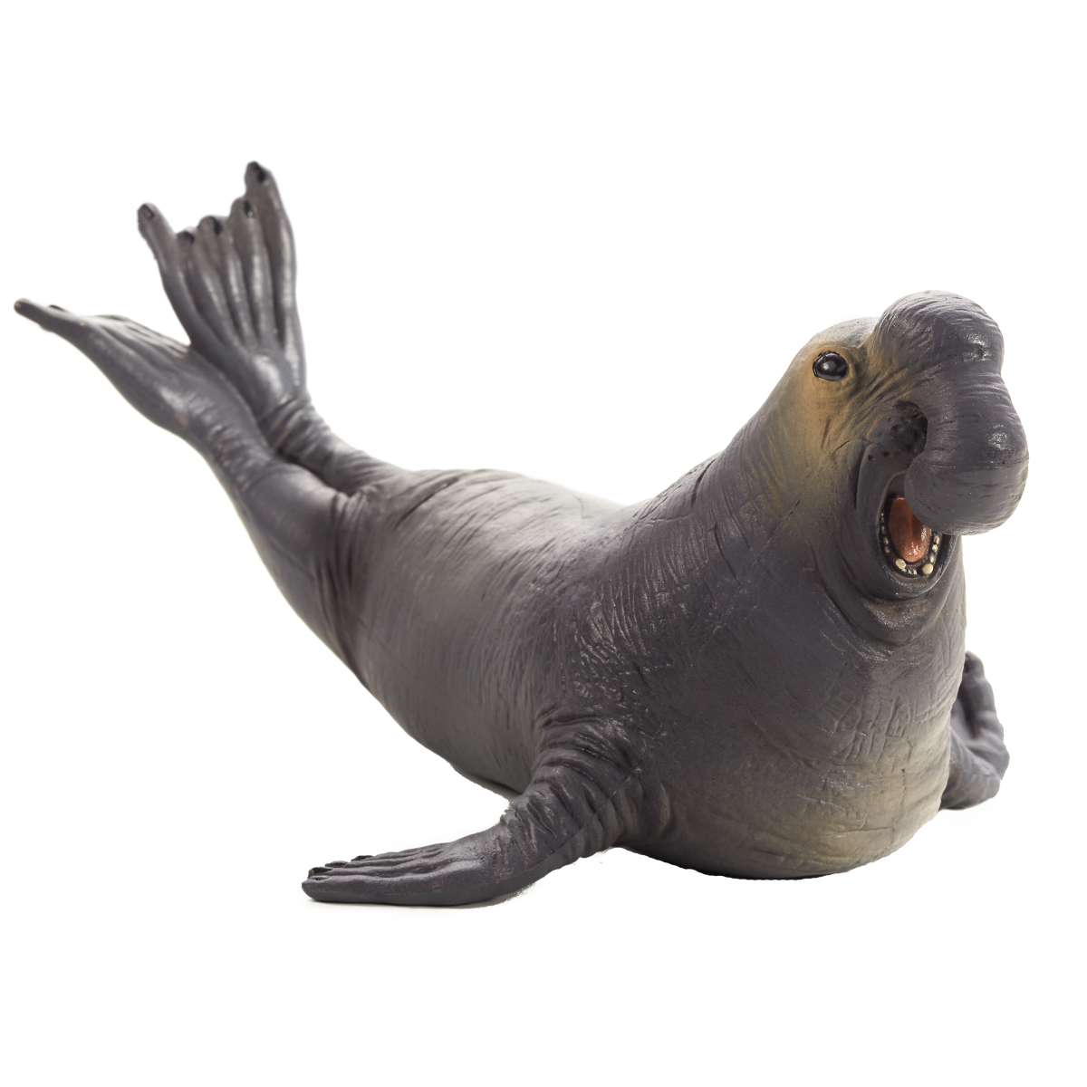Sea Elephant Toy Figure  Realistic Marine Mammal