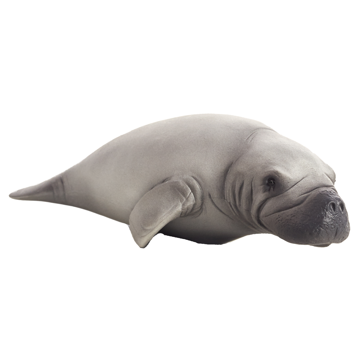 Manatee Toy  Realistic Marine Mammal Figurine