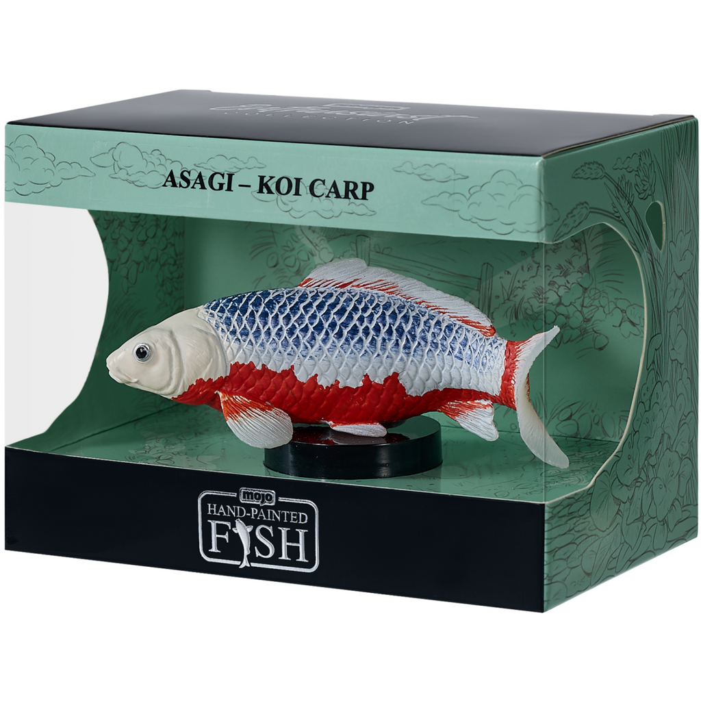 Asagi Koi