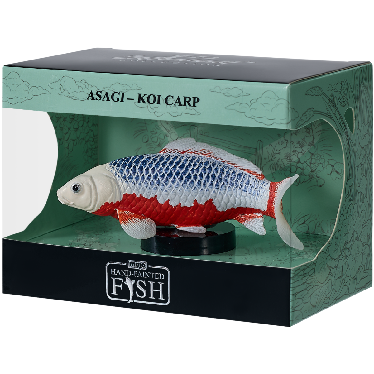 Asagi Koi
