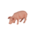 Piglet Feeding Toy  Realistic Farmyard Animal Figure