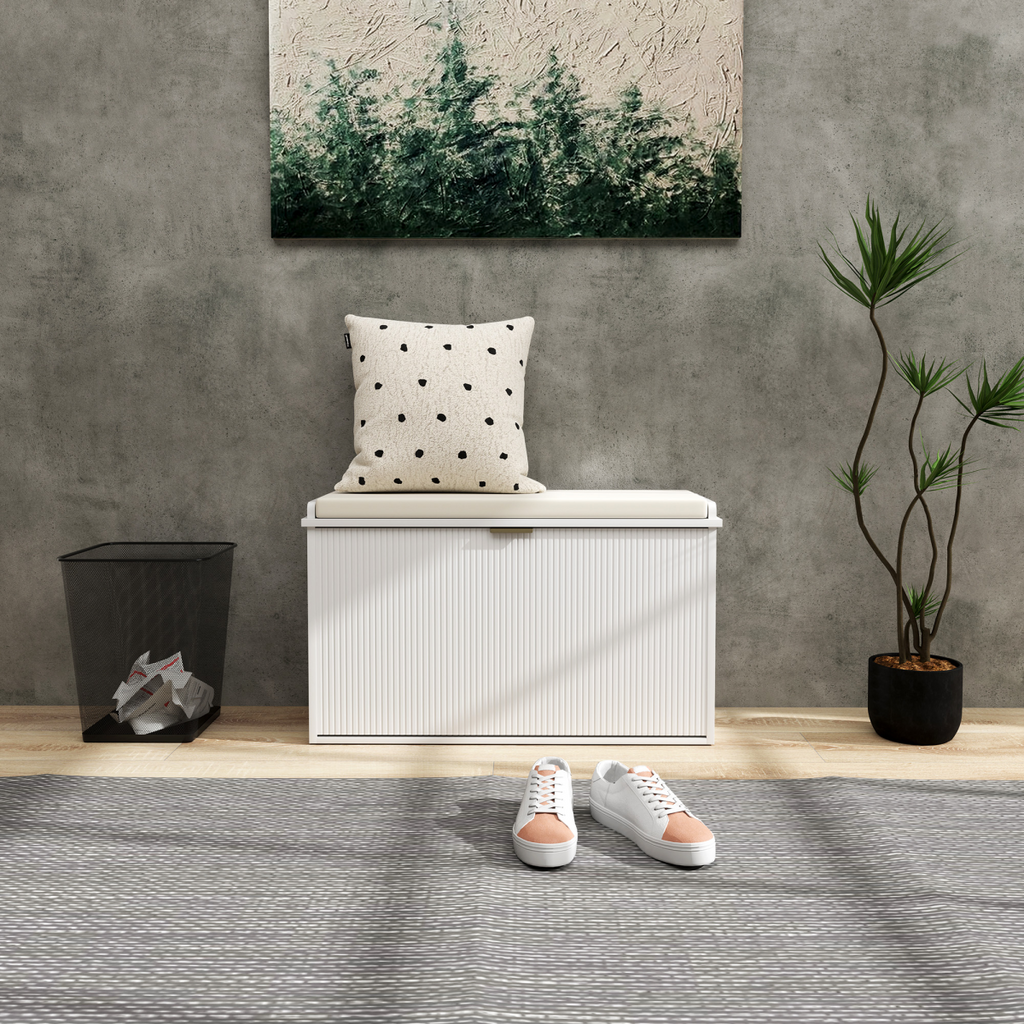 Shoe Storage Cabinet