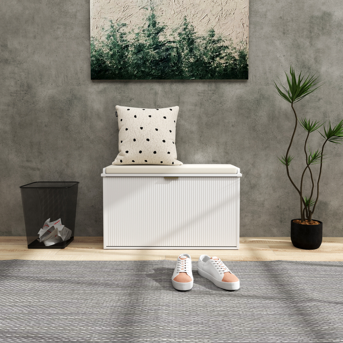 Shoe Storage Cabinet