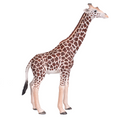 Giraffe Male Toy  Realistic African Wildlife Figure