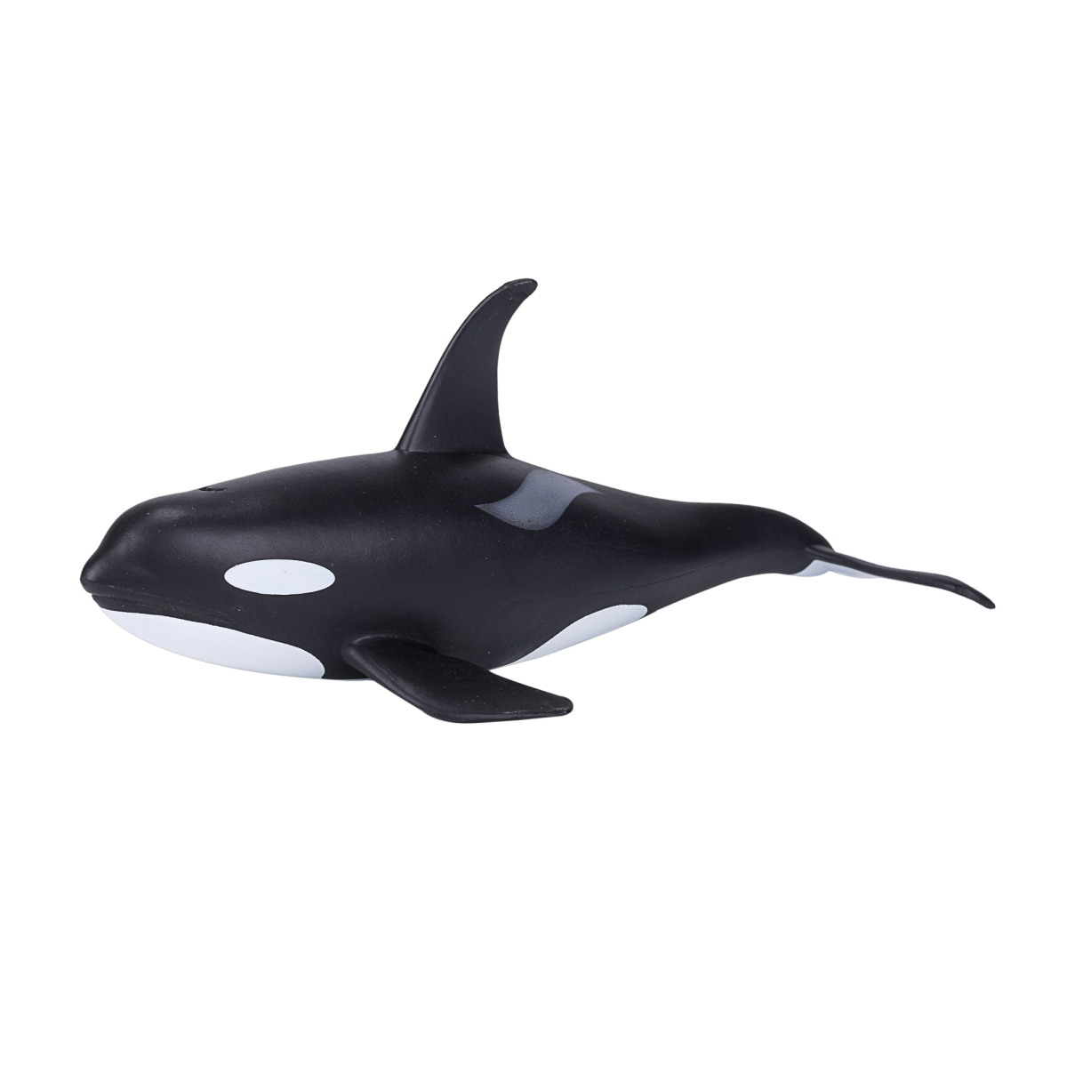 Orca Male Toy  Realistic Marine Mammal Model