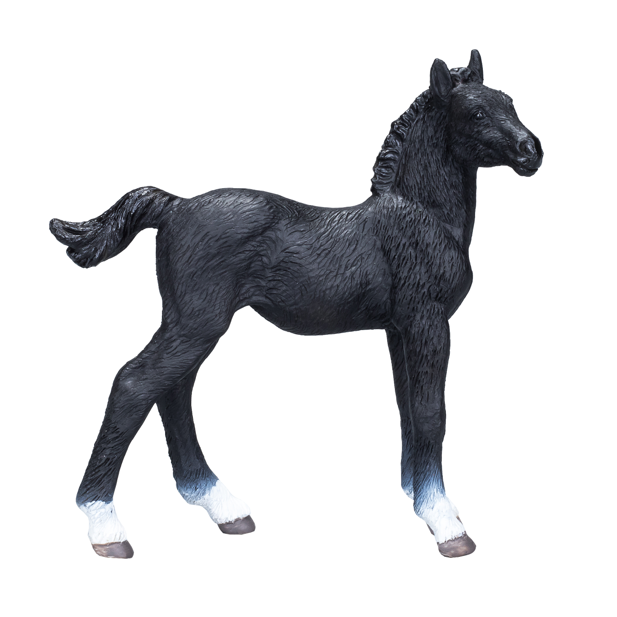 Hanoverian Foal Black  Realistic Equestrian Figurine