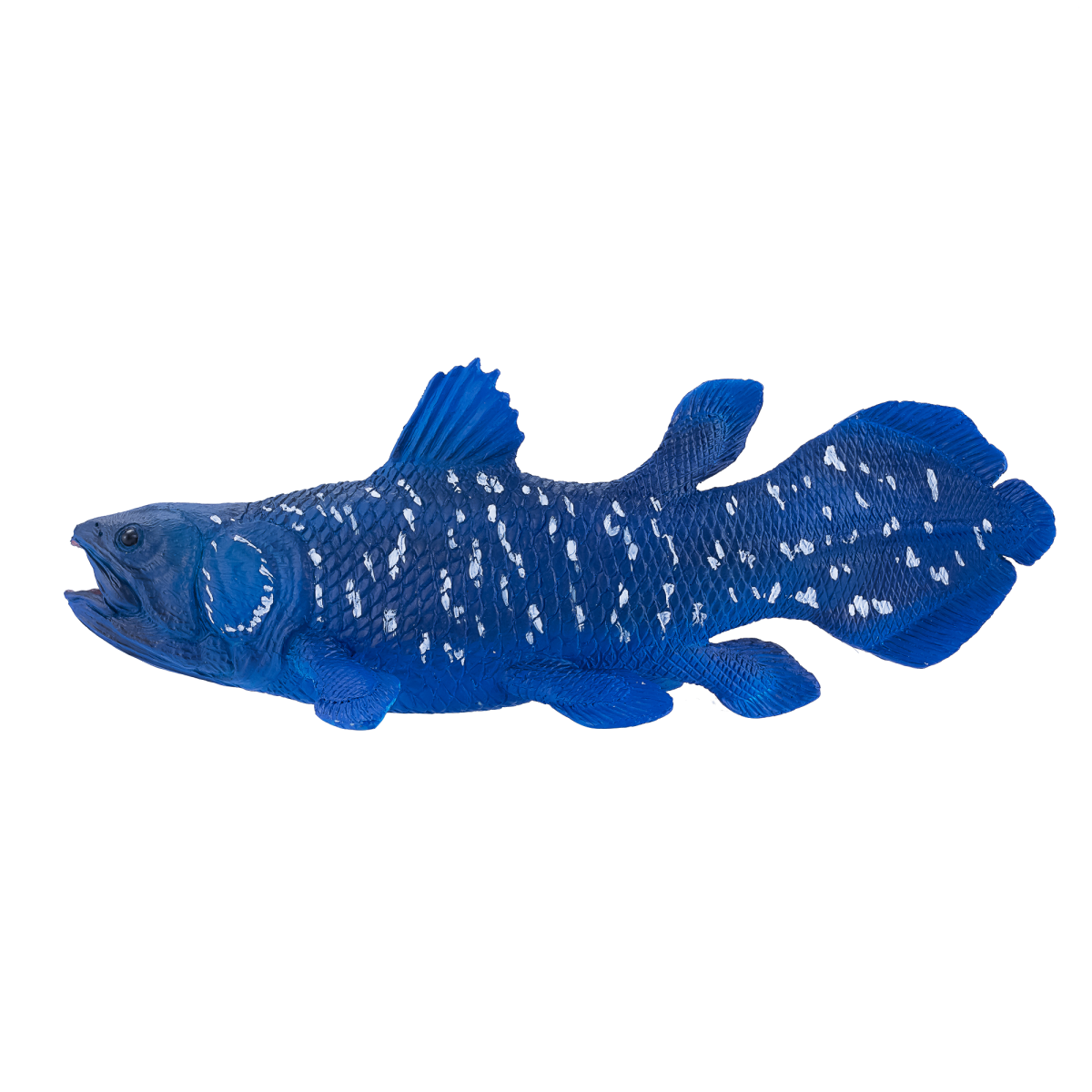 Coelacanth Toy  Realistic Prehistoric Fish Model