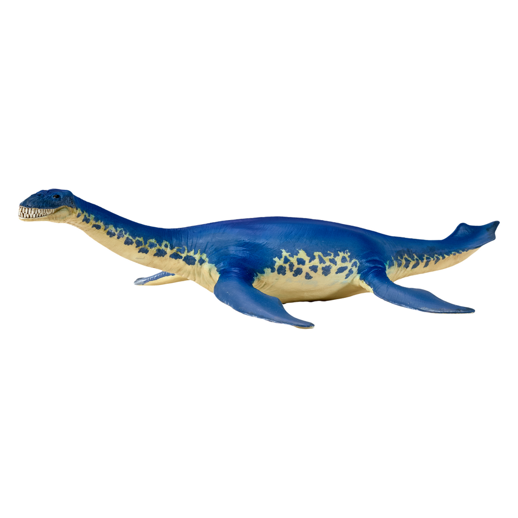 Cryptoclidus Dinosaur Toy  Prehistoric Marine Reptile