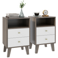 HOMCOM Bedside Tables Set of 2, Modern Nightstand with 2 Drawers and Open Cubby
