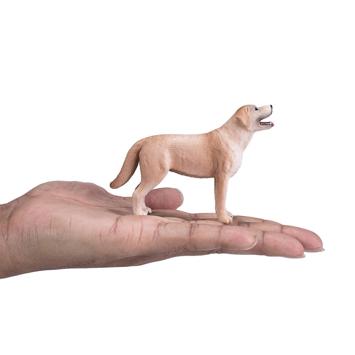 Labrador Dog Toy  Realistic Pet Figurine