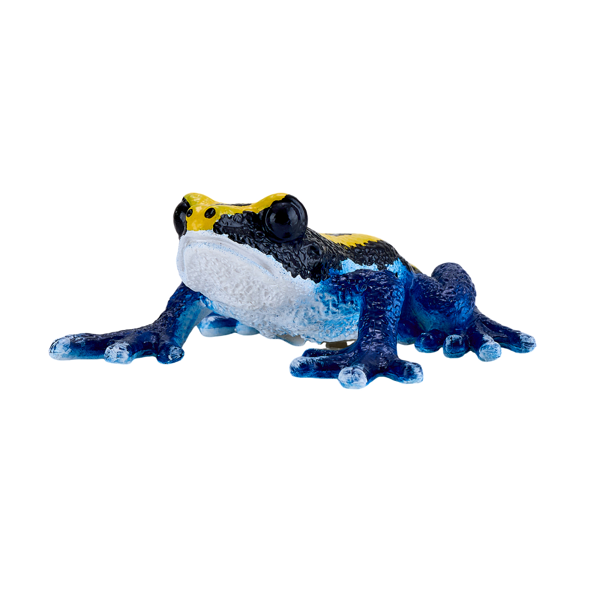 Poison Dart Frog Blue Toy  Realistic Rainforest Amphibian