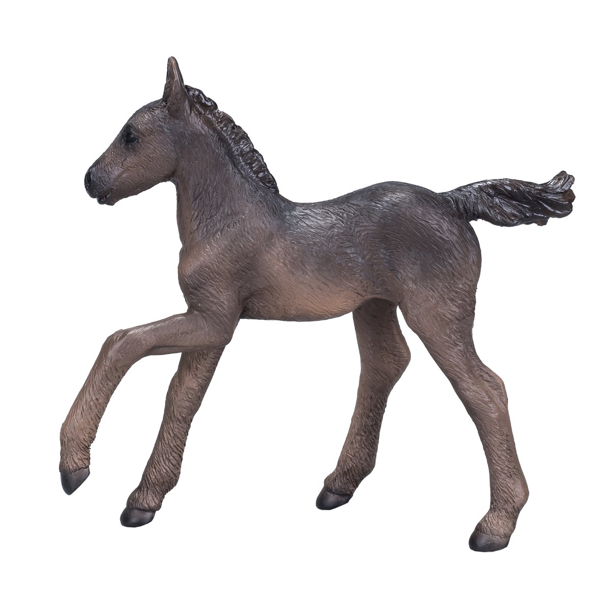 Arabian Foal Black  Realistic Horse Model